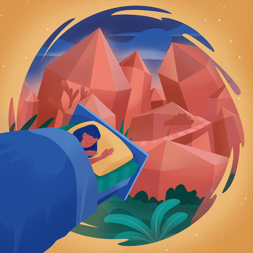 The Dreamer Chronicles