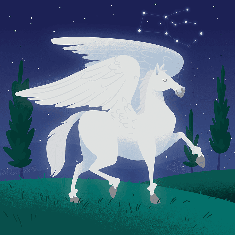 The Flight of the Pegasus