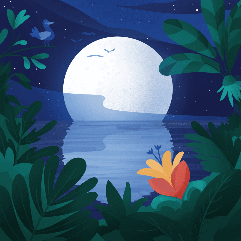 Ara's Moon Reflections