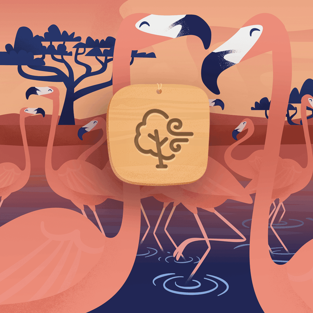 Sound Meditation: Safari Journey