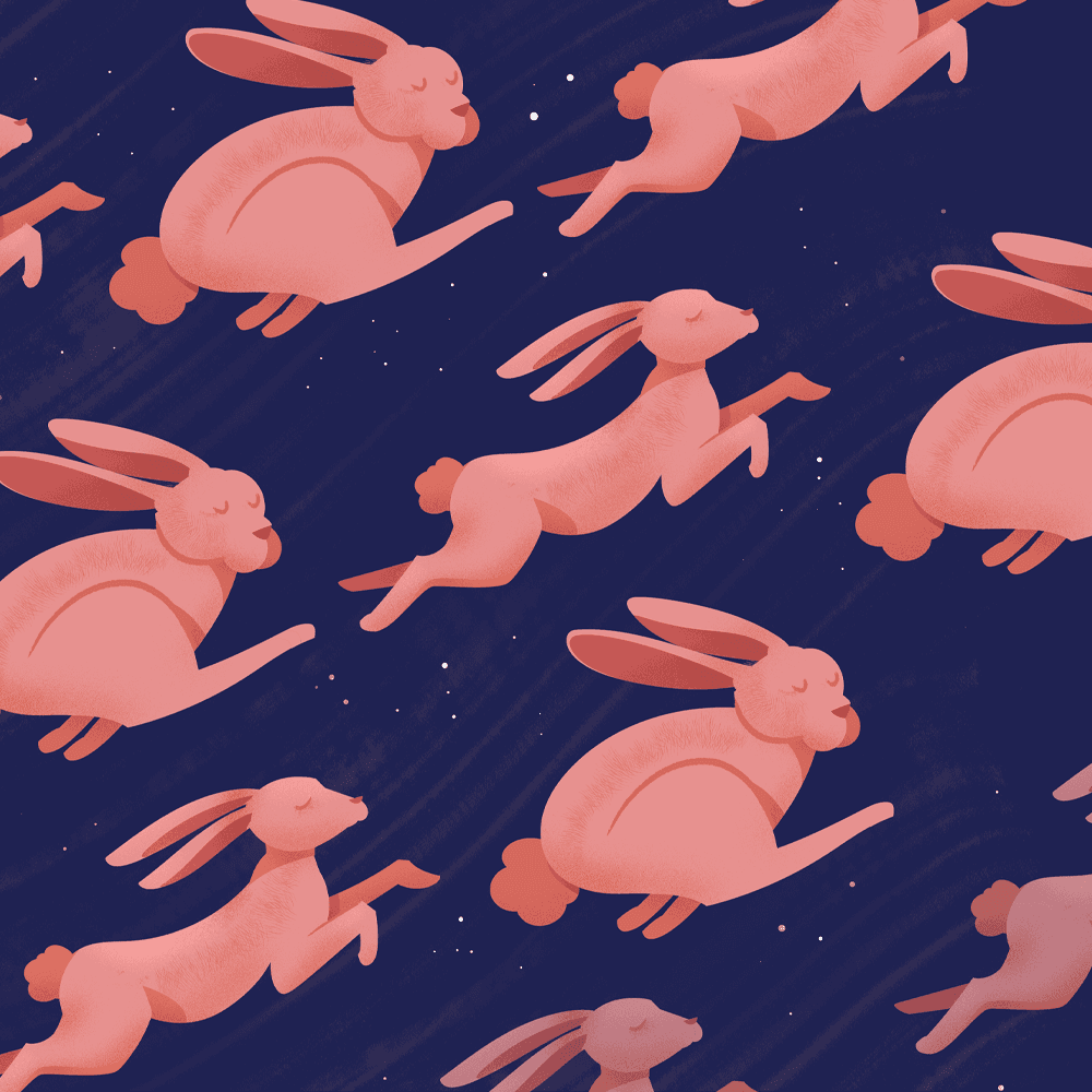 Moon Rabbit’s Melody